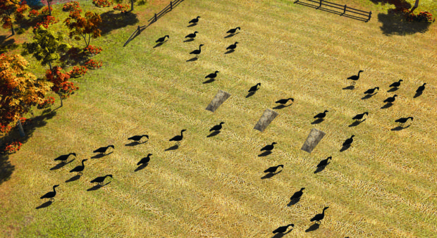 hunting honkers - Figure-03_Final_FALL