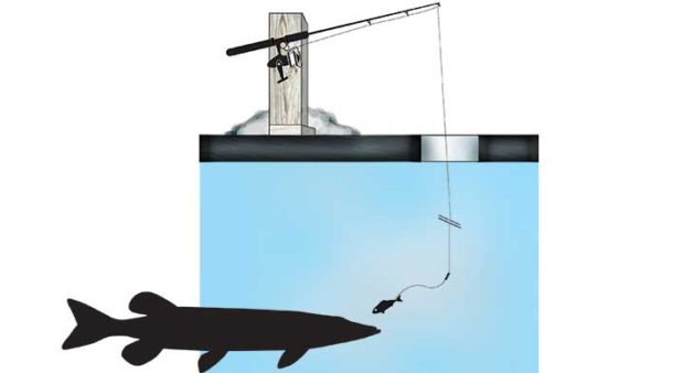 walleye moves - illustration of fishing tactics