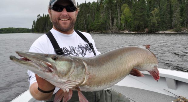 Muskie-baits-Ben-Beattie