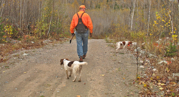 top hunting stories - hunter with dog on path