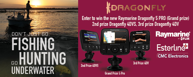 Dragonfly Contest
