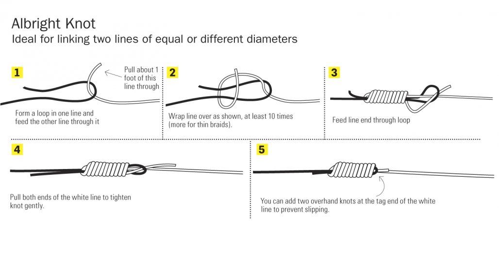 Albright-Knot_HR.jpg