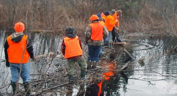 youth trapping program - Pulling traps at a Manitoulin youth trapper course.