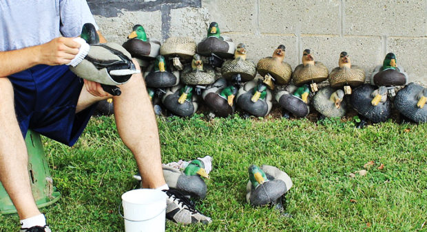 pre-hunt prep - cleaning-decoys-duck
