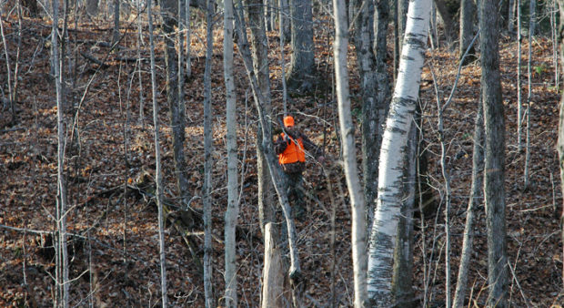 rcmp - a hunter in the woods 