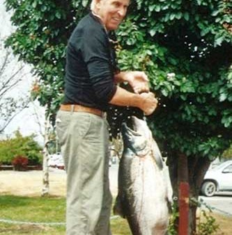 brown trout - Large-trout