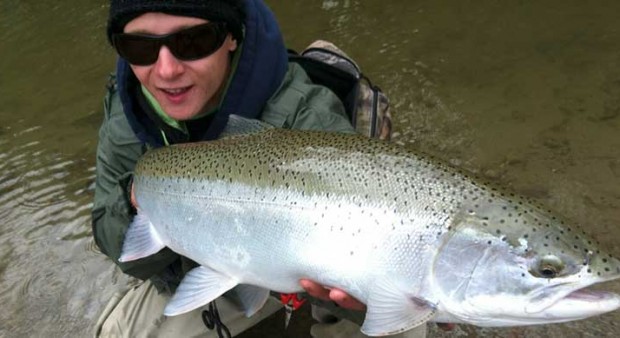Man holding a steelhead fish