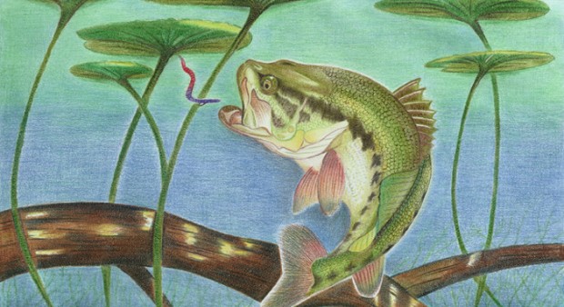 kids' fish art contest - Artwork by Catherine Chen from Toronto, overall winner and winner for the grade 7 to 9 category.