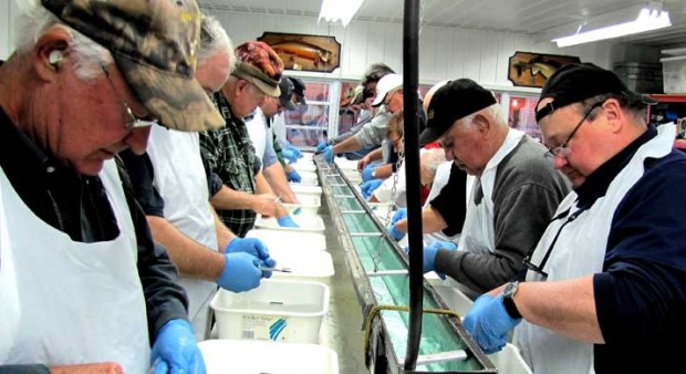community hatchery