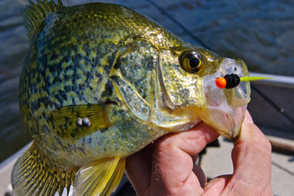 Spring crappies - when the wind can be your friend - Ontario OUT of DOORS