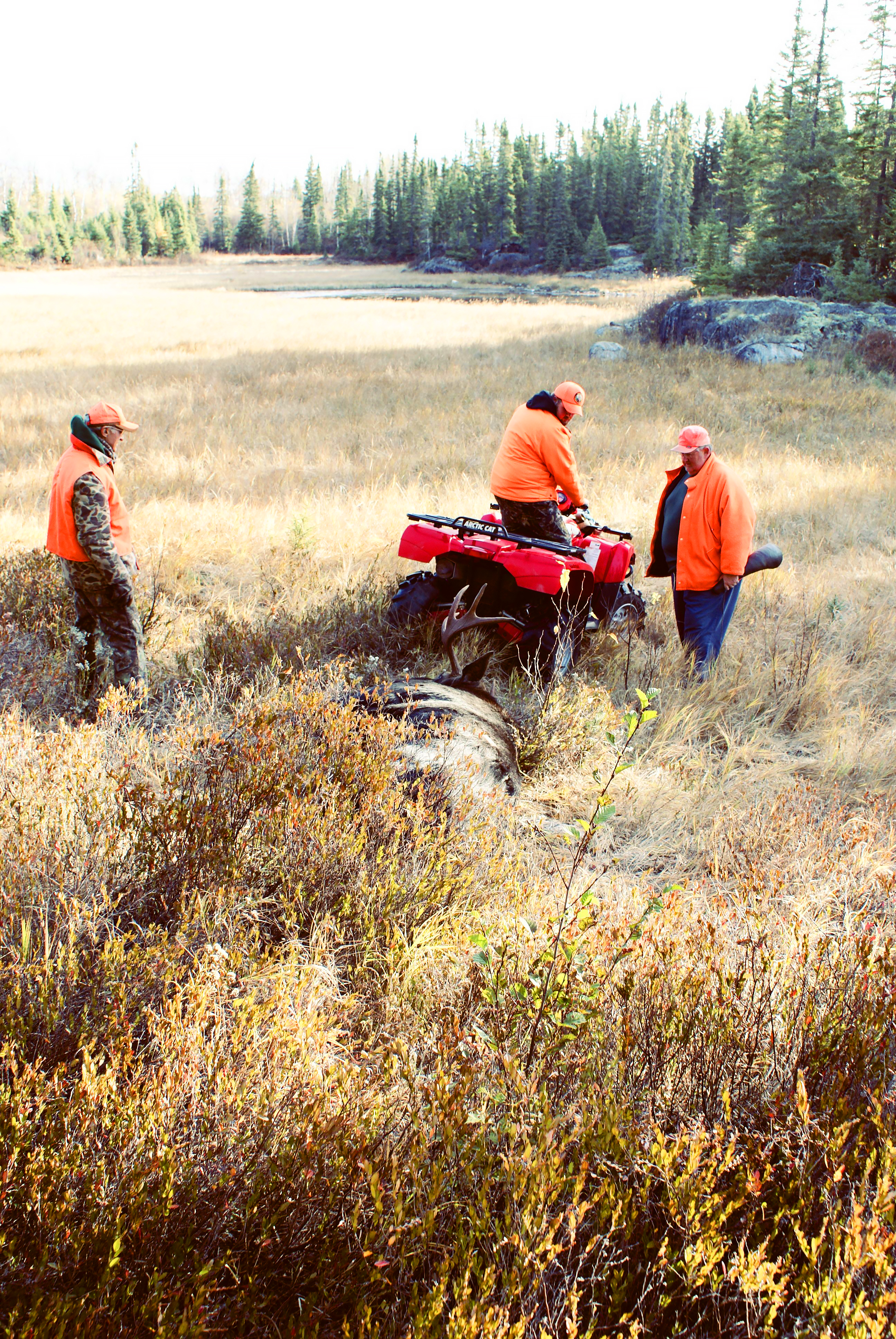 ATV Deer