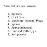Lure Quiz Answers