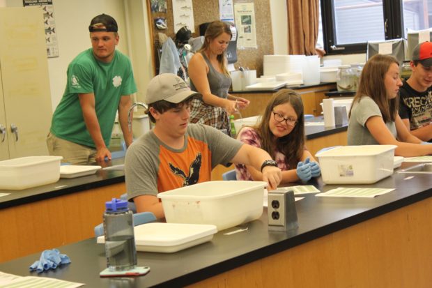 Stewardship Youth Rangers