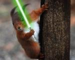 TylerW's Avatar