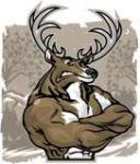 Kinging's Avatar