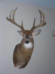 JeffN's Avatar