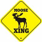 moosemike's Avatar