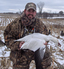 Canadian wigeon's Avatar