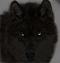 SongDog's Avatar
