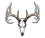hunter10's Avatar