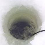 Ice Hole's Avatar