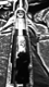 Alvyboys's Avatar