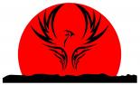The Phoenix's Avatar