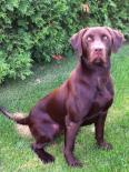 dannybouy's Avatar