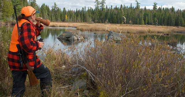 Must-Know-Moose-Calls