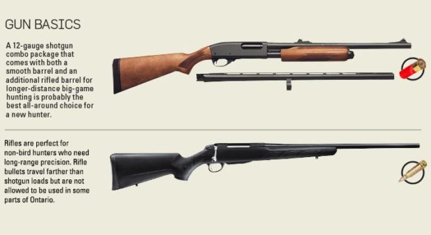 beginner's guide - description of rifle and shotgun