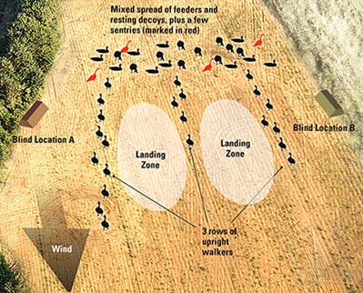 attitude - Diagram for setting up for pressured geese.