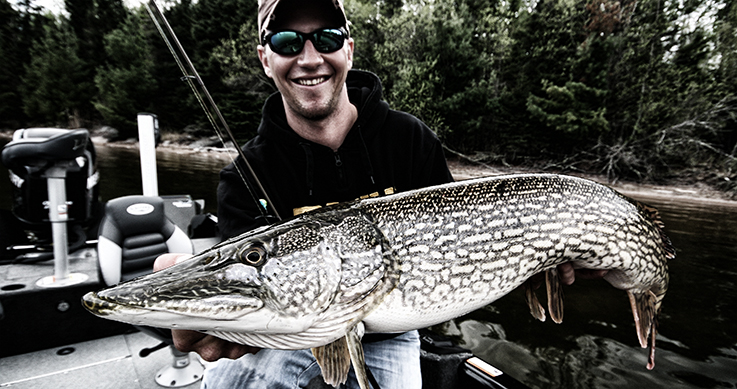 man holding a monster pike
