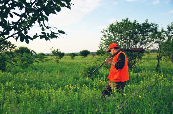 legal hunter orange