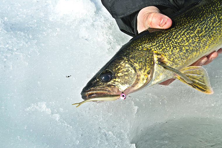 finesse walleye