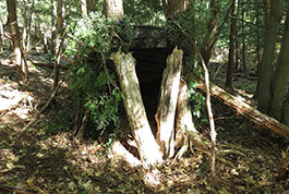 DIY ground blind