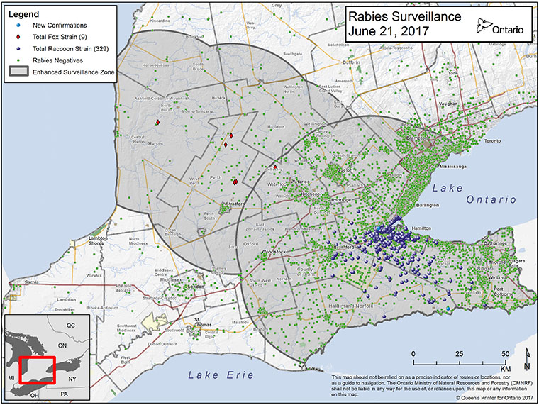 rabies cases - surveillance map