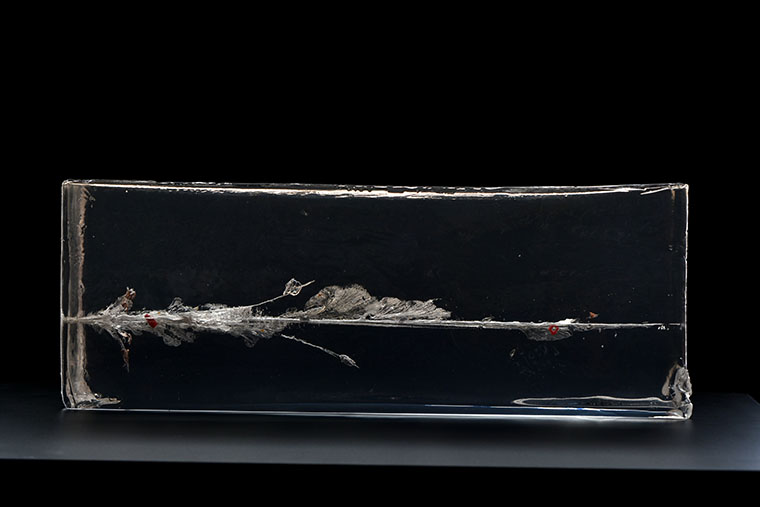 terminal ballistics - 12 Gauge Slug