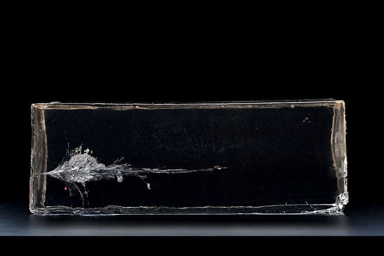 terminal ballistics - 223 100m hornady
