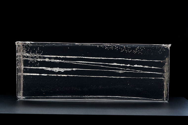 terminal ballistics - 12 gauge 00 buckshot
