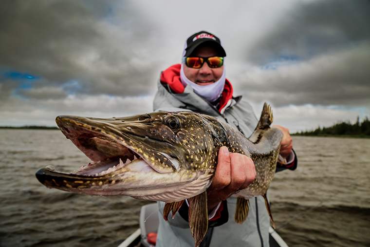 crazy - pike photo