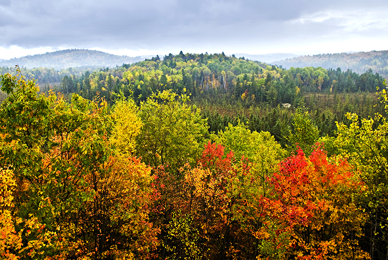 autumn 