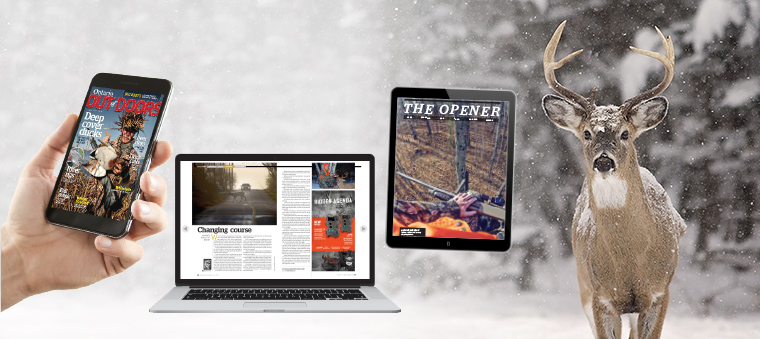 digital edition free trial
