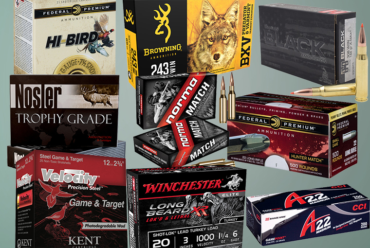 hunting ammo 