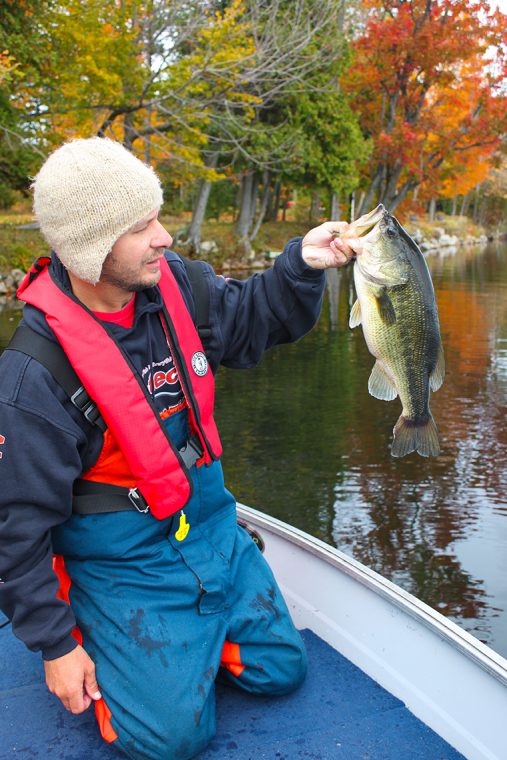 docks fishing