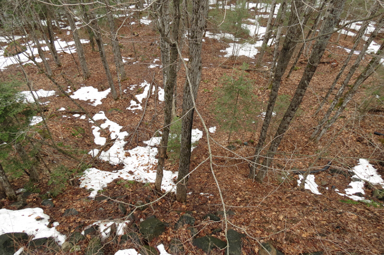 tree stand hunt