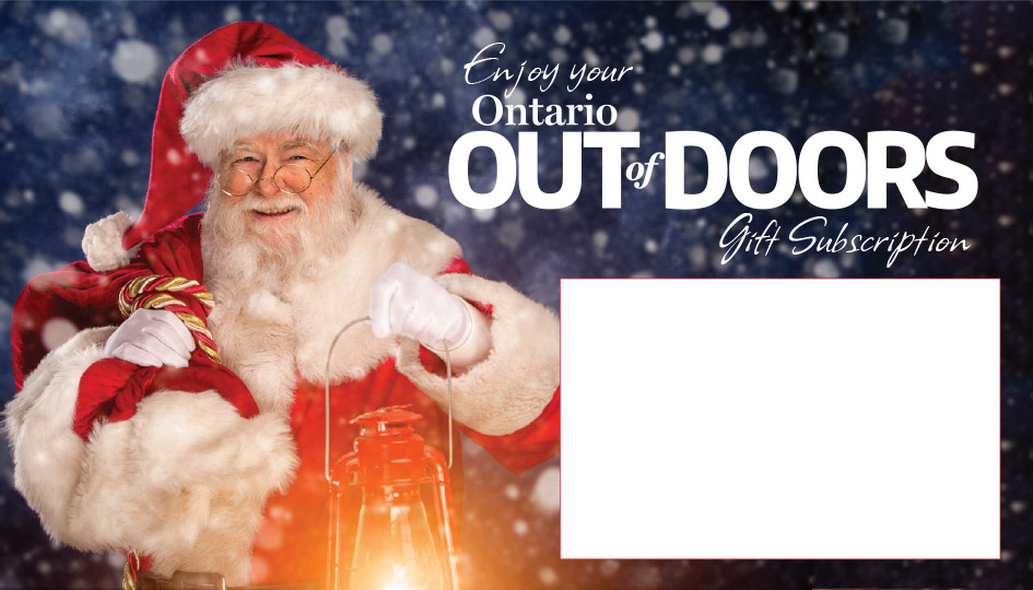 OOD-ECARD-2017