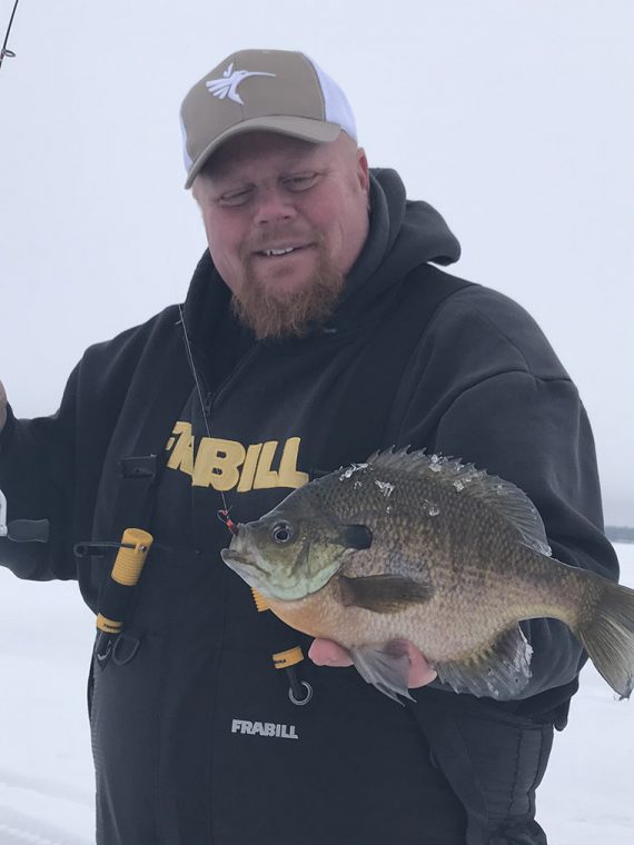 Bluegill - Brosdahl