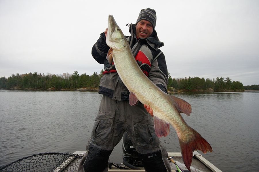 Gord Ellis with a 48 inch muskie just shy of his personal best goal