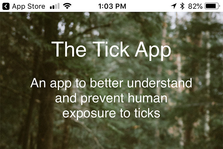 tick